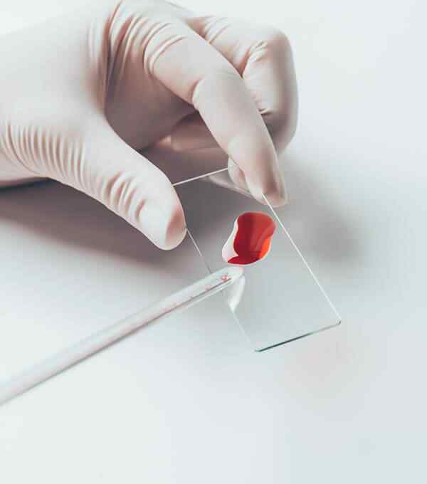 GESTIONE STRUTTURE POLISPECIALISTICHE